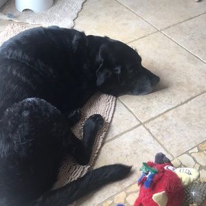 Meet your Posher, Jean